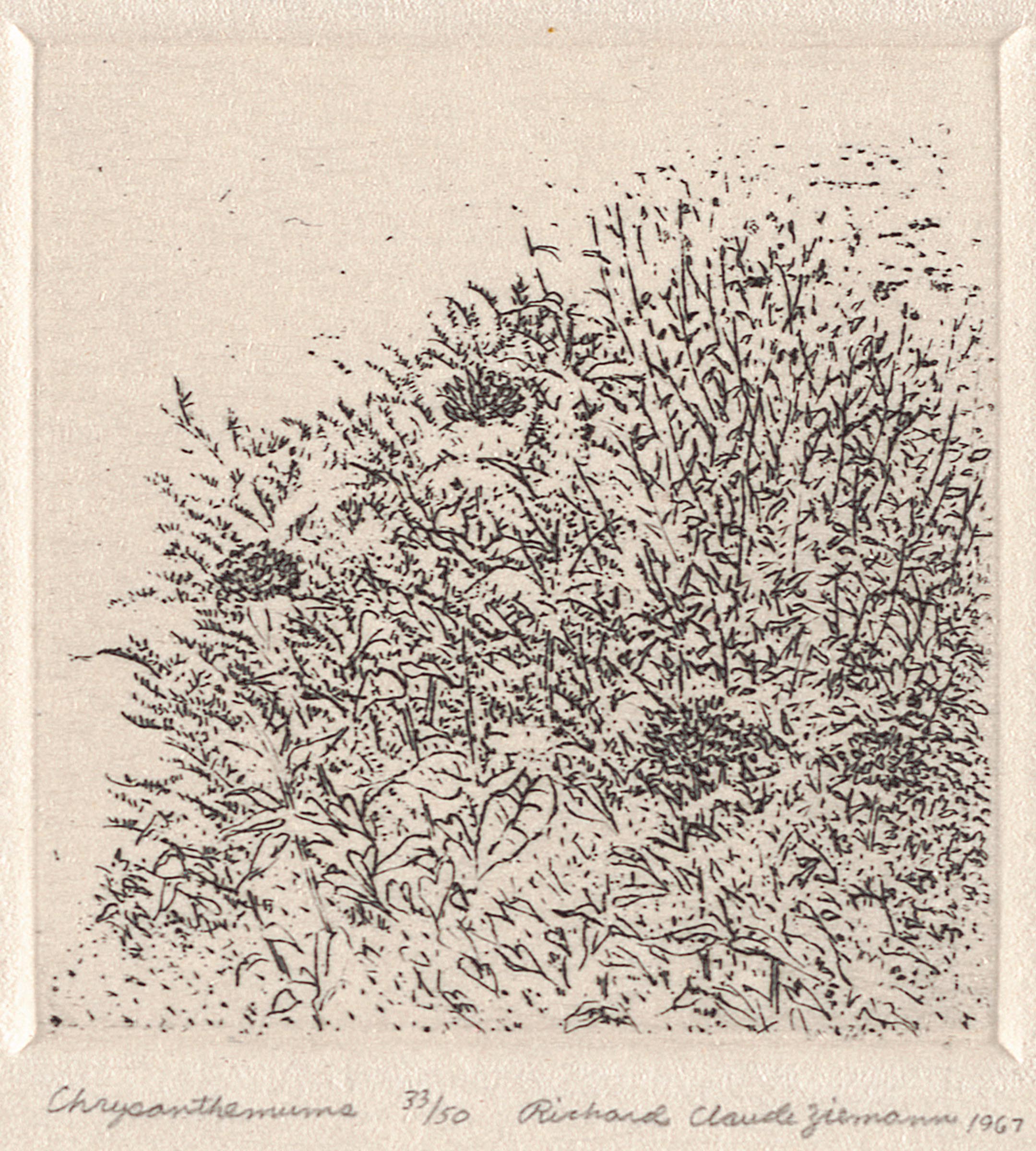 Collection | Carnegie Museum of Art
