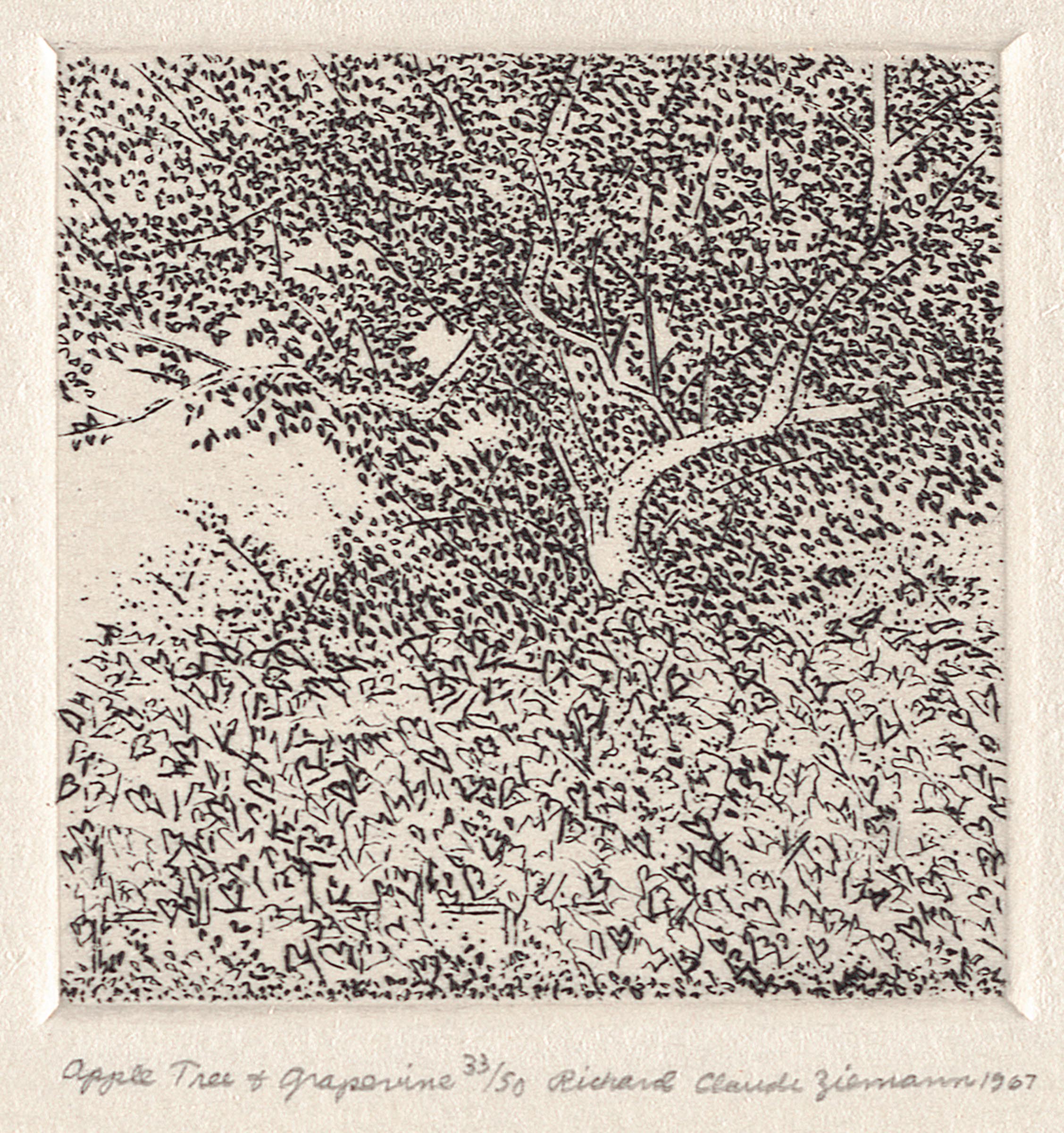 Collection | Carnegie Museum of Art