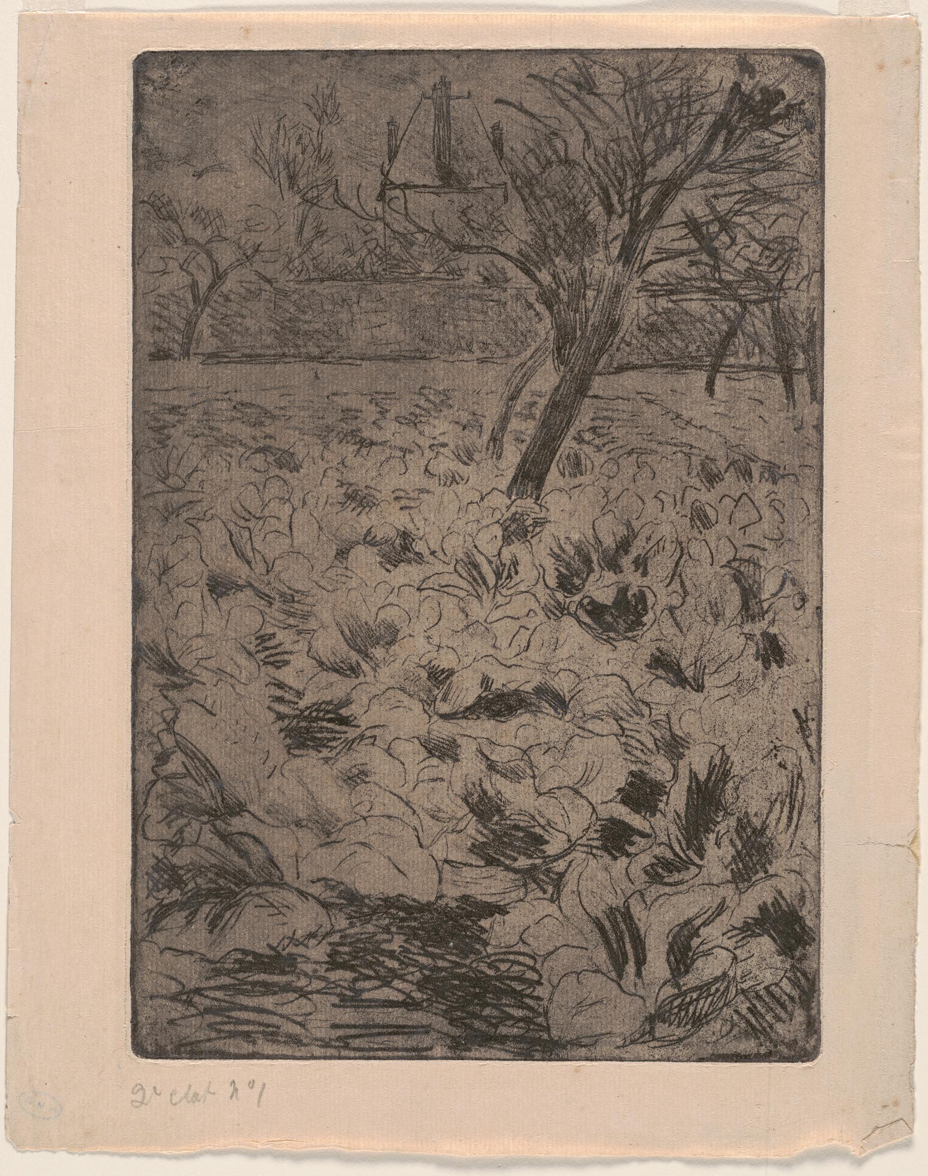 Collection | Carnegie Museum of Art
