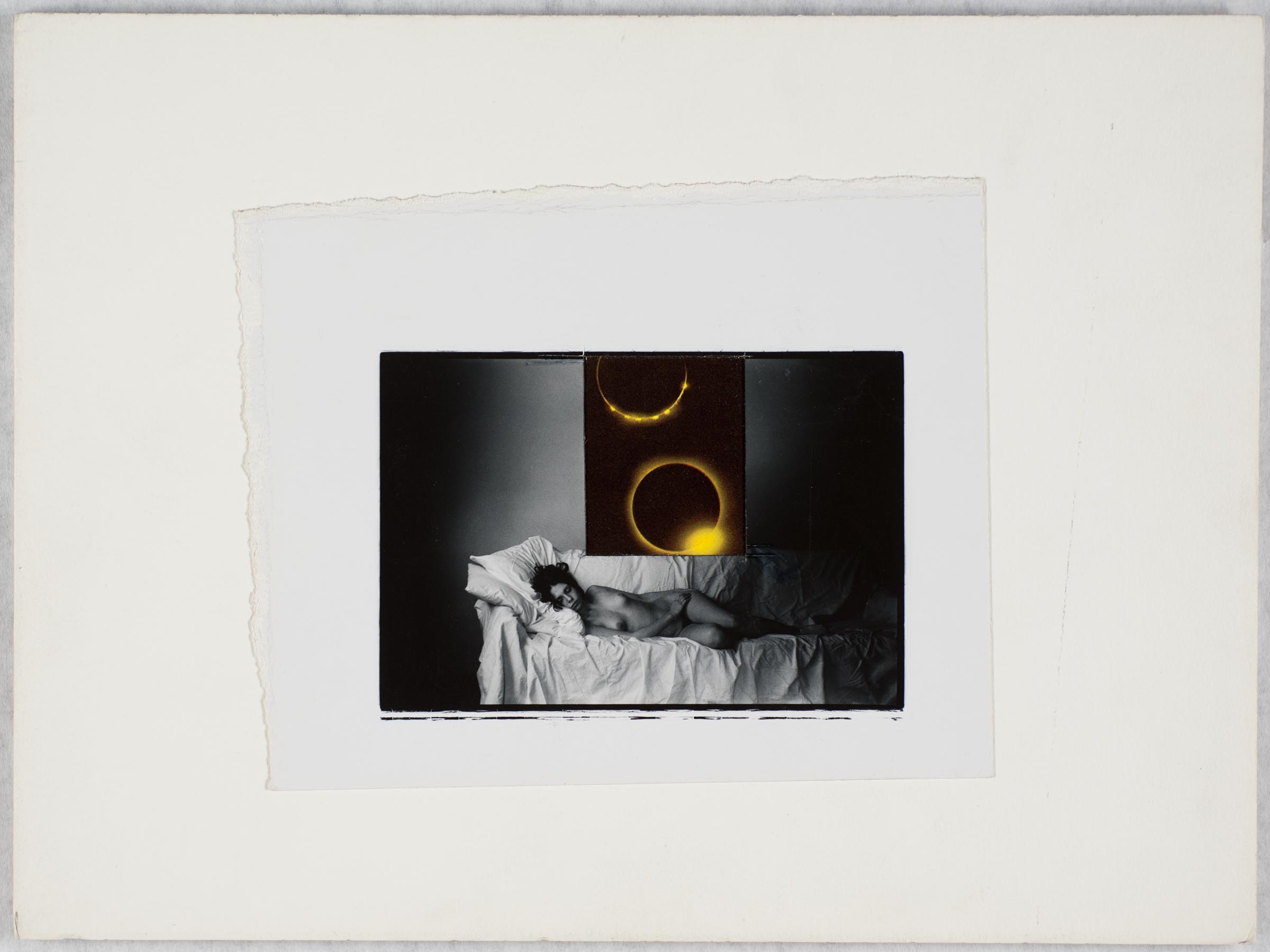Collection | Carnegie Museum of Art