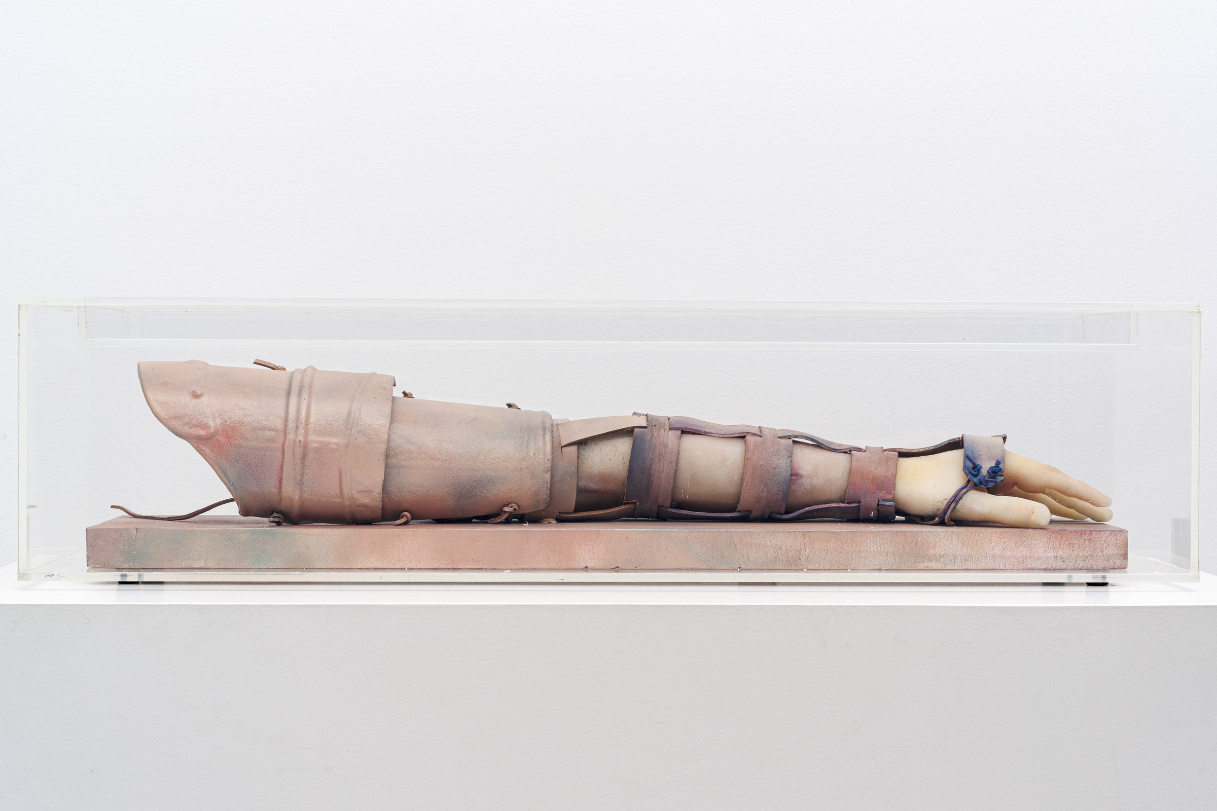 Collection | Carnegie Museum of Art