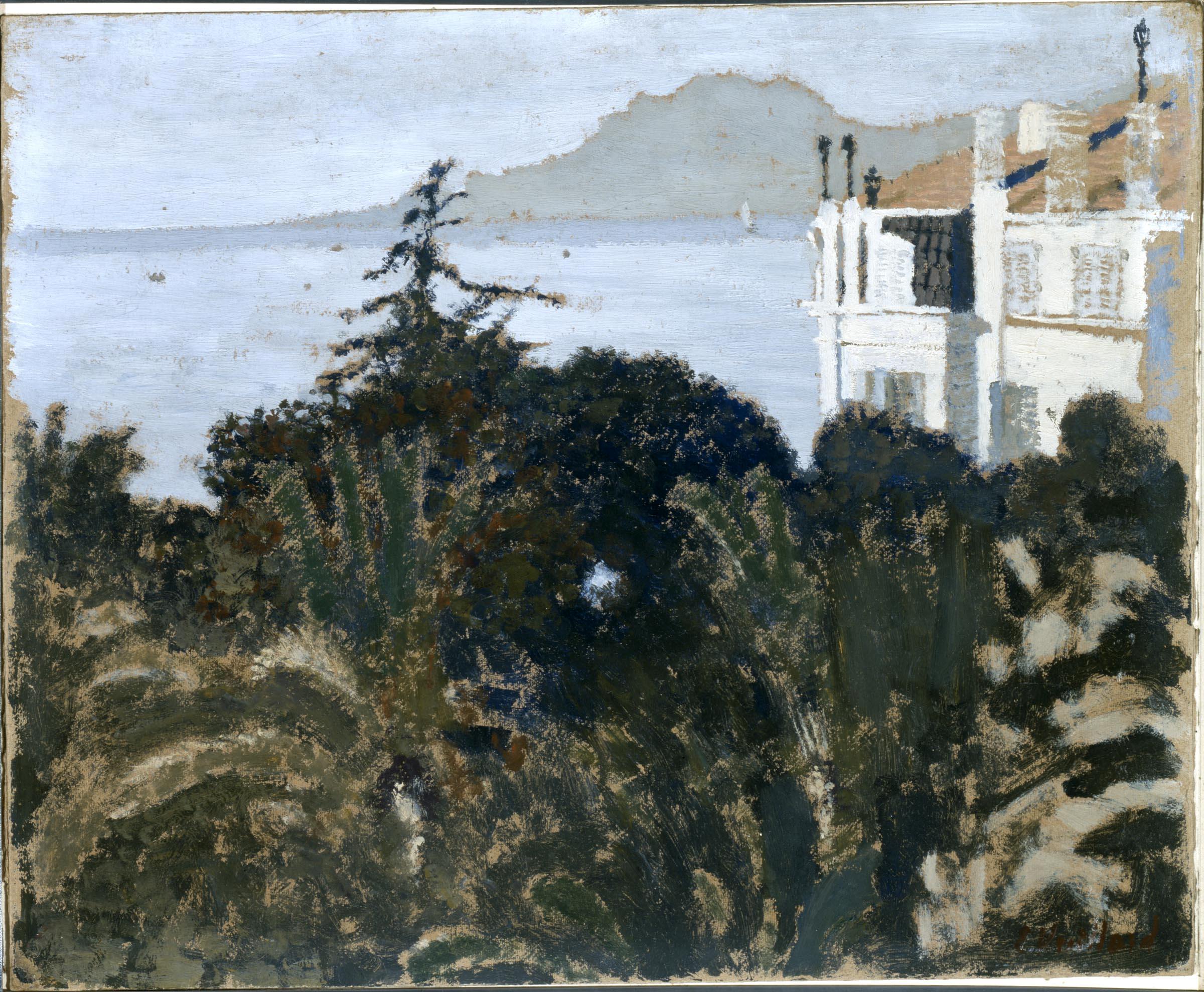 Collection | Carnegie Museum of Art
