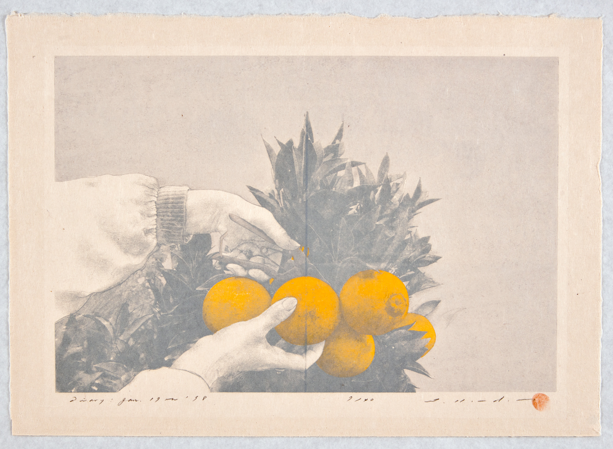 Collection | Carnegie Museum of Art